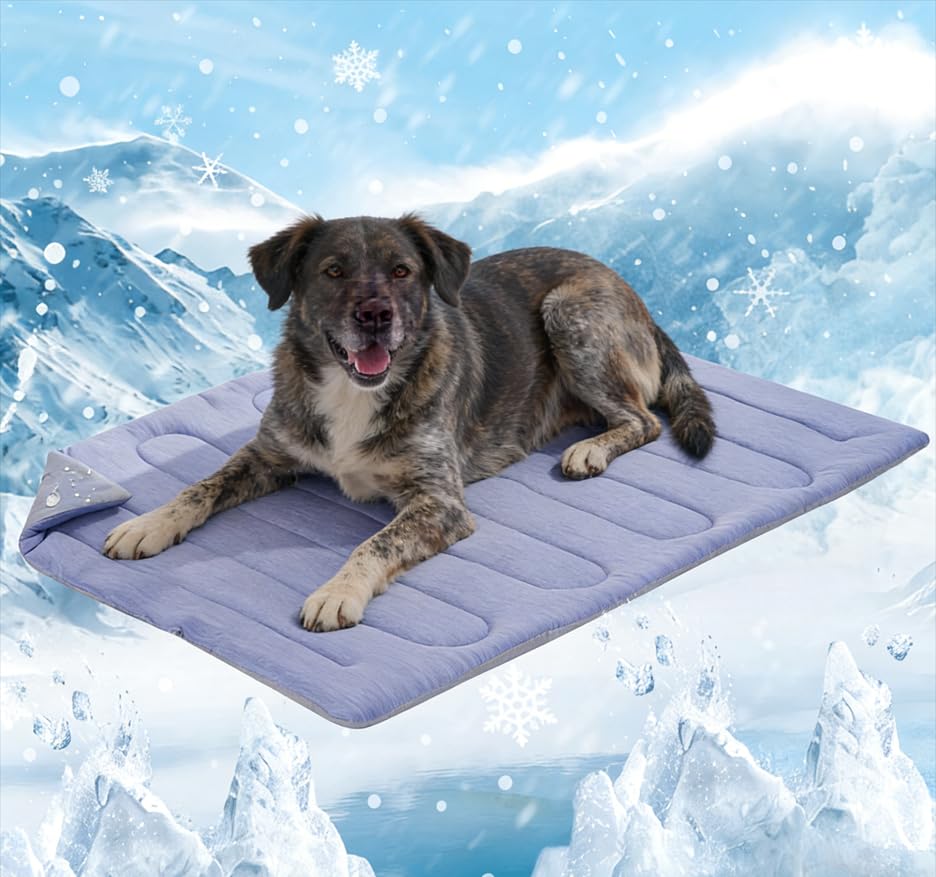 Cooling Mat for Large Dogs, Q-Max>0.46 - Self-Cooling Dog Bed with Arc-Chill Technology,Washable Dog Cooling Mat for Small & Medium Dogs, Indoor Outdoor Kennel Floor Use (36" x 24" - Large-Crate)