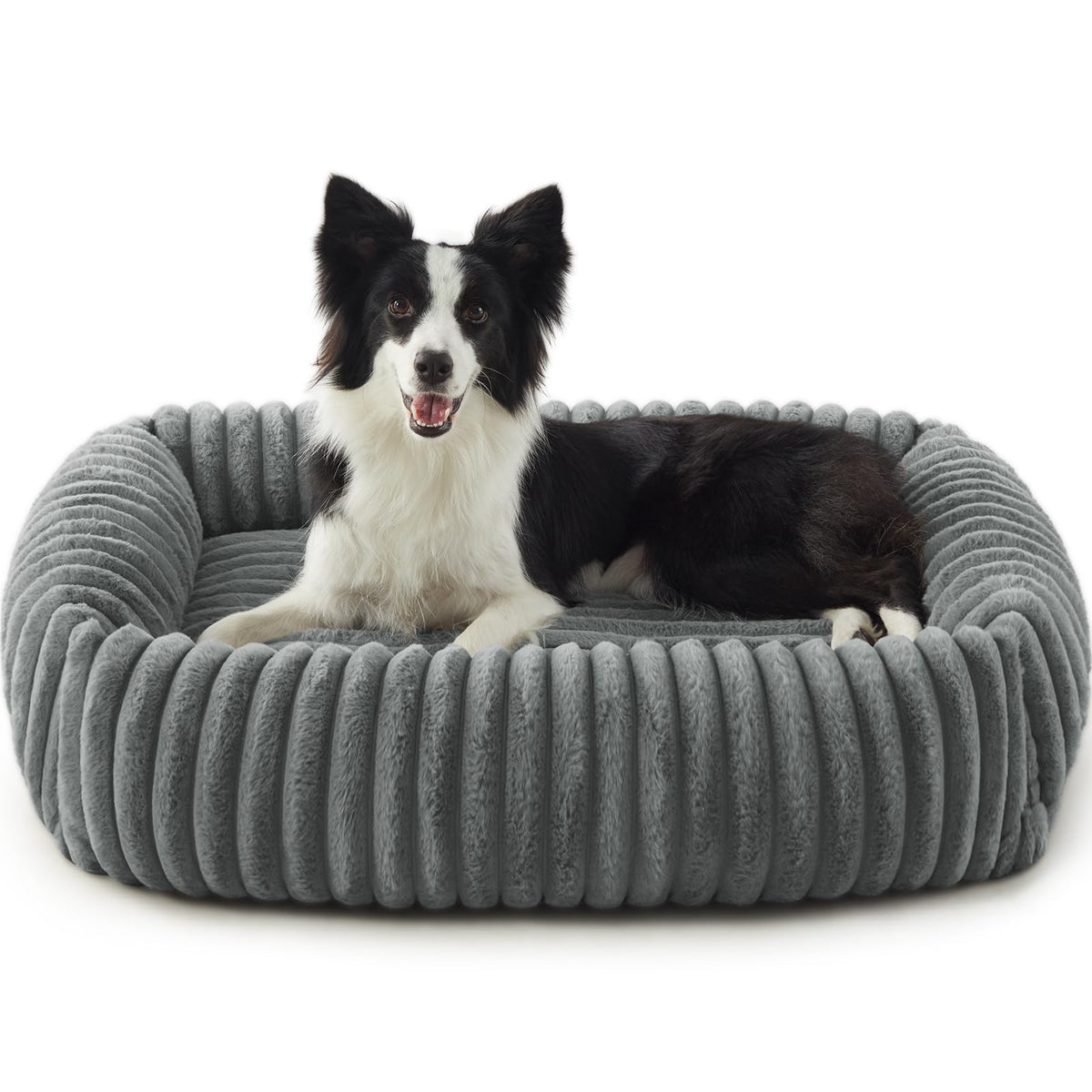 FURTIME Dog Bed for Small Dogs, Washable Orthopedic Dog Bed with Removable Cover, Rectangle Soft Calming Sleeping Puppy Bed Durable Pet Cuddler with Anti-Slip Bottom, Cream, S (20"x19"x6")