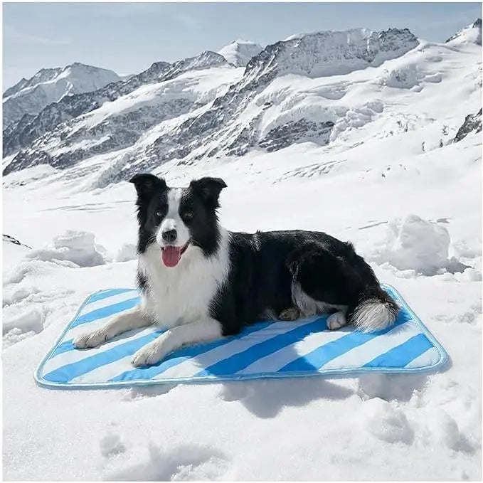 furrybaby Dog Cooling Mat for Large Dogs, 30"x20" Self Cooling Pet Cooling Mat for Dogs & Cats, QMAX>0.5, Thickened Cool Fiber, Cooling pad for Dog Bed, Durable Portable Indoor/Outdoor Summer,Blue