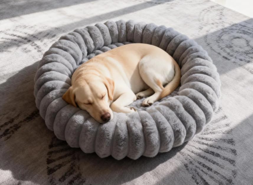 Donut Dog and Cat Bed, Luxurious Comfortable Faux Rabbit Fur Pet Beds, Round Anti-Anxiety Calming Puppy Kitten Bed with Anti-Slip Bottom for Small Medium Dogs & Cats(20", White)