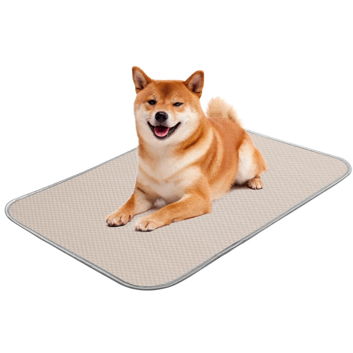 Buvlnee Summer Dog Cooling Mat, Washable Ice Silk Self Cool Pad for Small Medium Large Dogs and Cats, 24x18in Pet Sleeping Pad for Crate, Bed, Indoor & Outdoor Floor, Car Seats