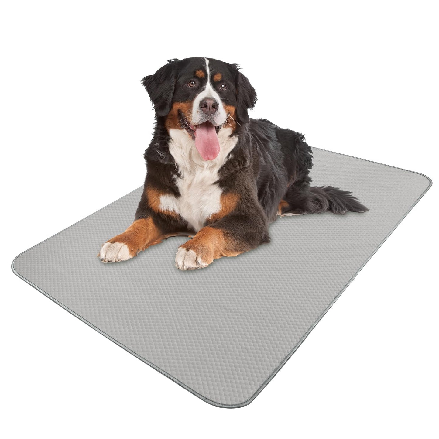 Buvlnee Summer Dog Cooling Mat, Washable Ice Silk Self Cool Pad for Small Medium Large Dogs and Cats, 24x18in Pet Sleeping Pad for Crate, Bed, Indoor & Outdoor Floor, Car Seats
