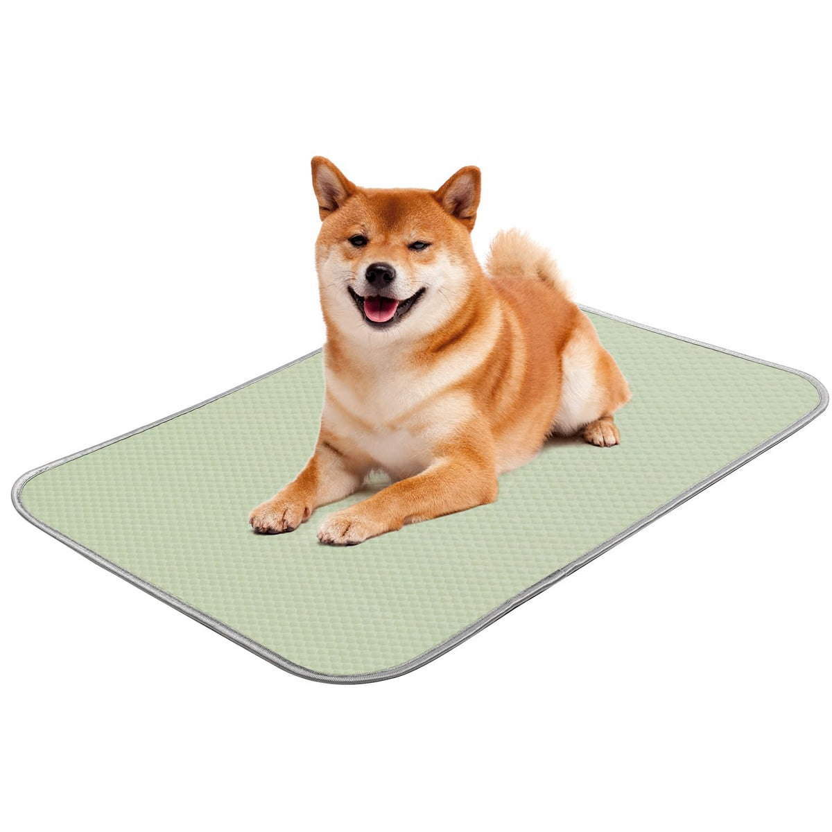 Buvlnee Summer Dog Cooling Mat, Washable Ice Silk Self Cool Pad for Small Medium Large Dogs and Cats, 24x18in Pet Sleeping Pad for Crate, Bed, Indoor & Outdoor Floor, Car Seats