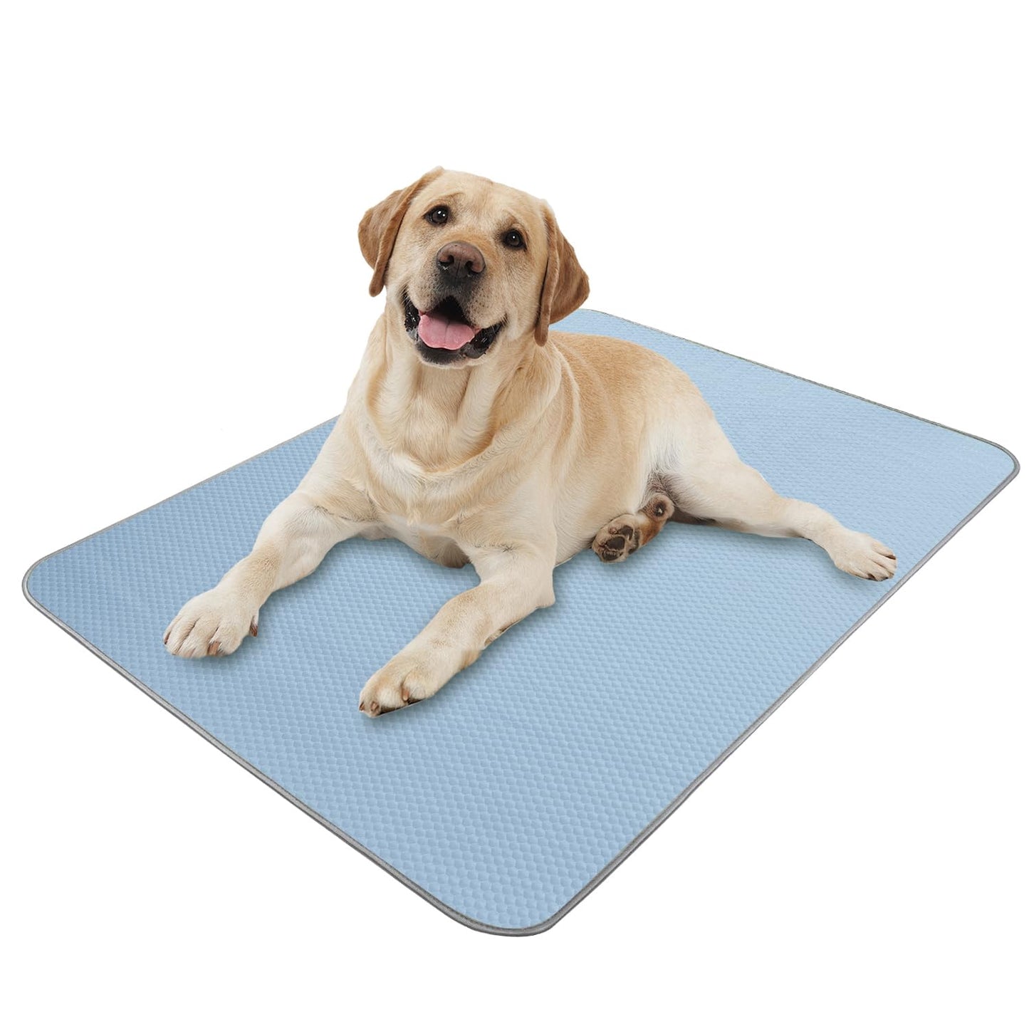 Buvlnee Summer Dog Cooling Mat, Washable Ice Silk Self Cool Pad for Small Medium Large Dogs and Cats, 24x18in Pet Sleeping Pad for Crate, Bed, Indoor & Outdoor Floor, Car Seats