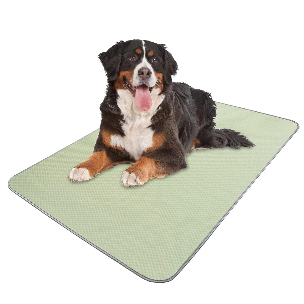 Buvlnee Summer Dog Cooling Mat, Washable Ice Silk Self Cool Pad for Small Medium Large Dogs and Cats, 24x18in Pet Sleeping Pad for Crate, Bed, Indoor & Outdoor Floor, Car Seats