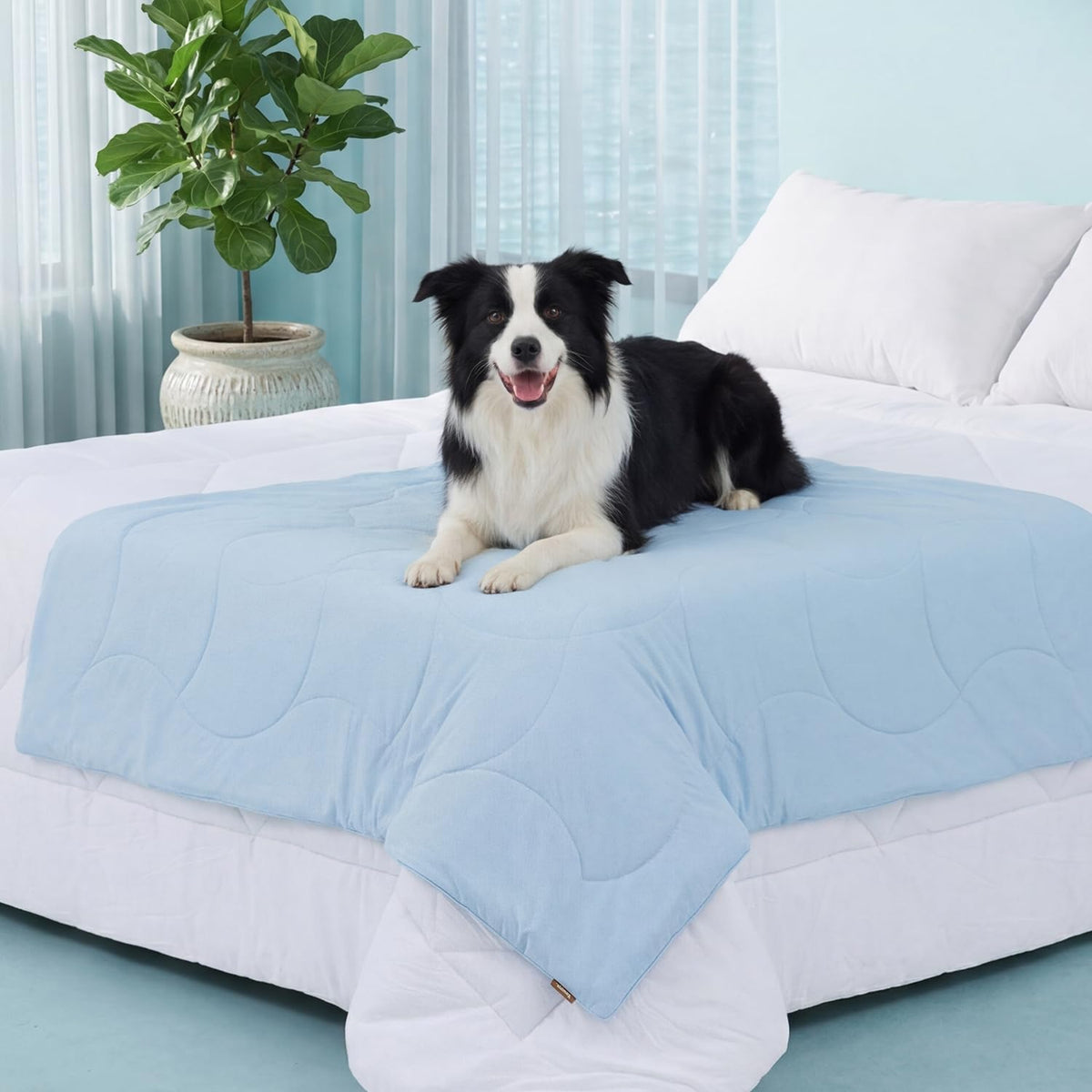 ZOMISIA Premium Cooling Blanket for Large Dogs - Q-MAX>0.5 Breathable Washable Dog Cooling Mat, Travel Soft Pet Summer Essentials, Grey, 40"x50"