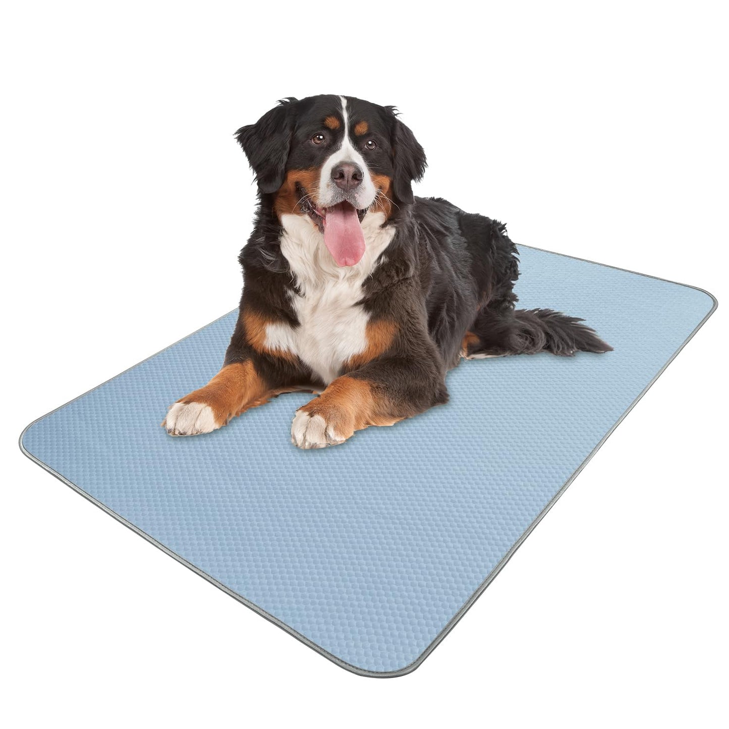 Buvlnee Summer Dog Cooling Mat, Washable Ice Silk Self Cool Pad for Small Medium Large Dogs and Cats, 24x18in Pet Sleeping Pad for Crate, Bed, Indoor & Outdoor Floor, Car Seats