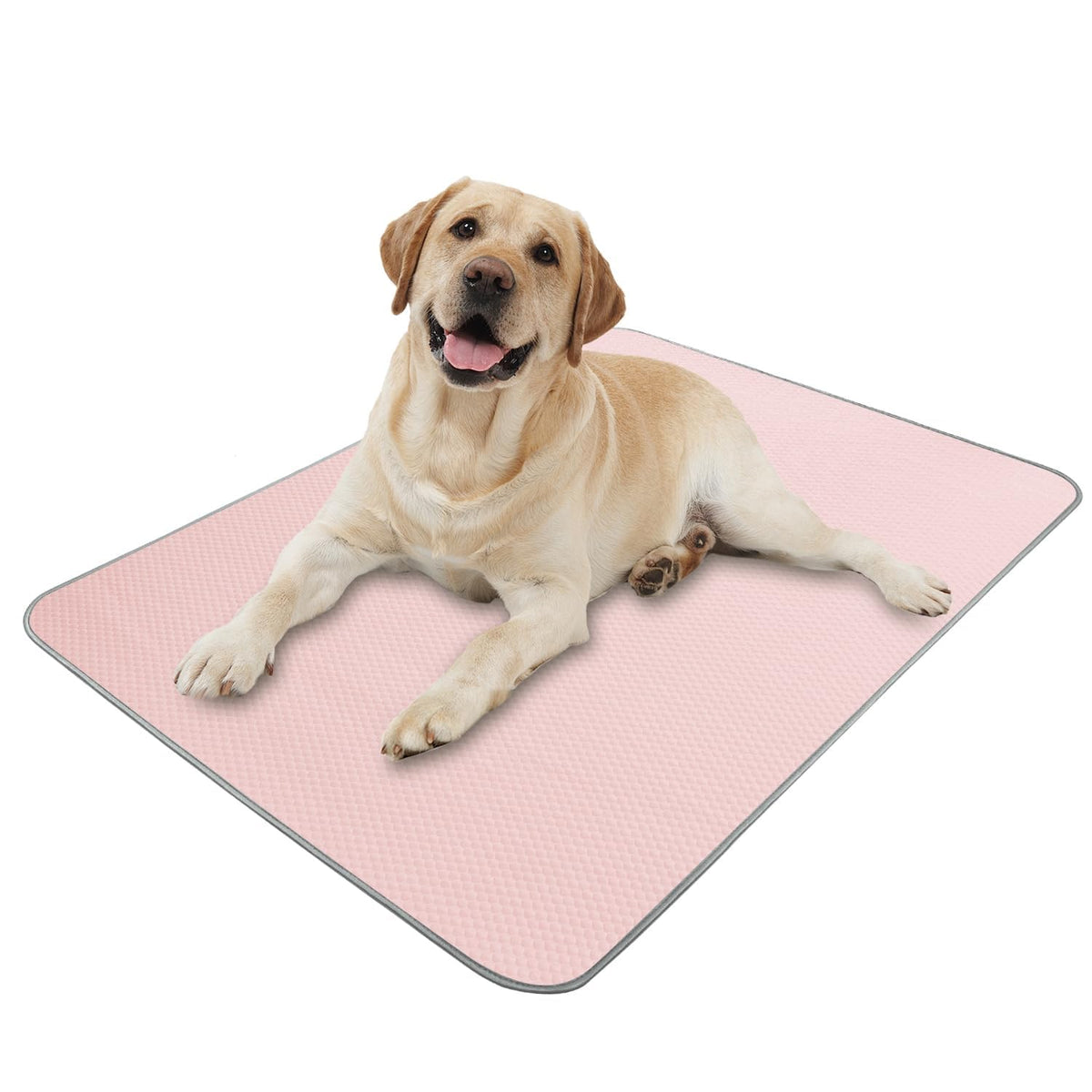 Buvlnee Summer Dog Cooling Mat, Washable Ice Silk Self Cool Pad for Small Medium Large Dogs and Cats, 24x18in Pet Sleeping Pad for Crate, Bed, Indoor & Outdoor Floor, Car Seats