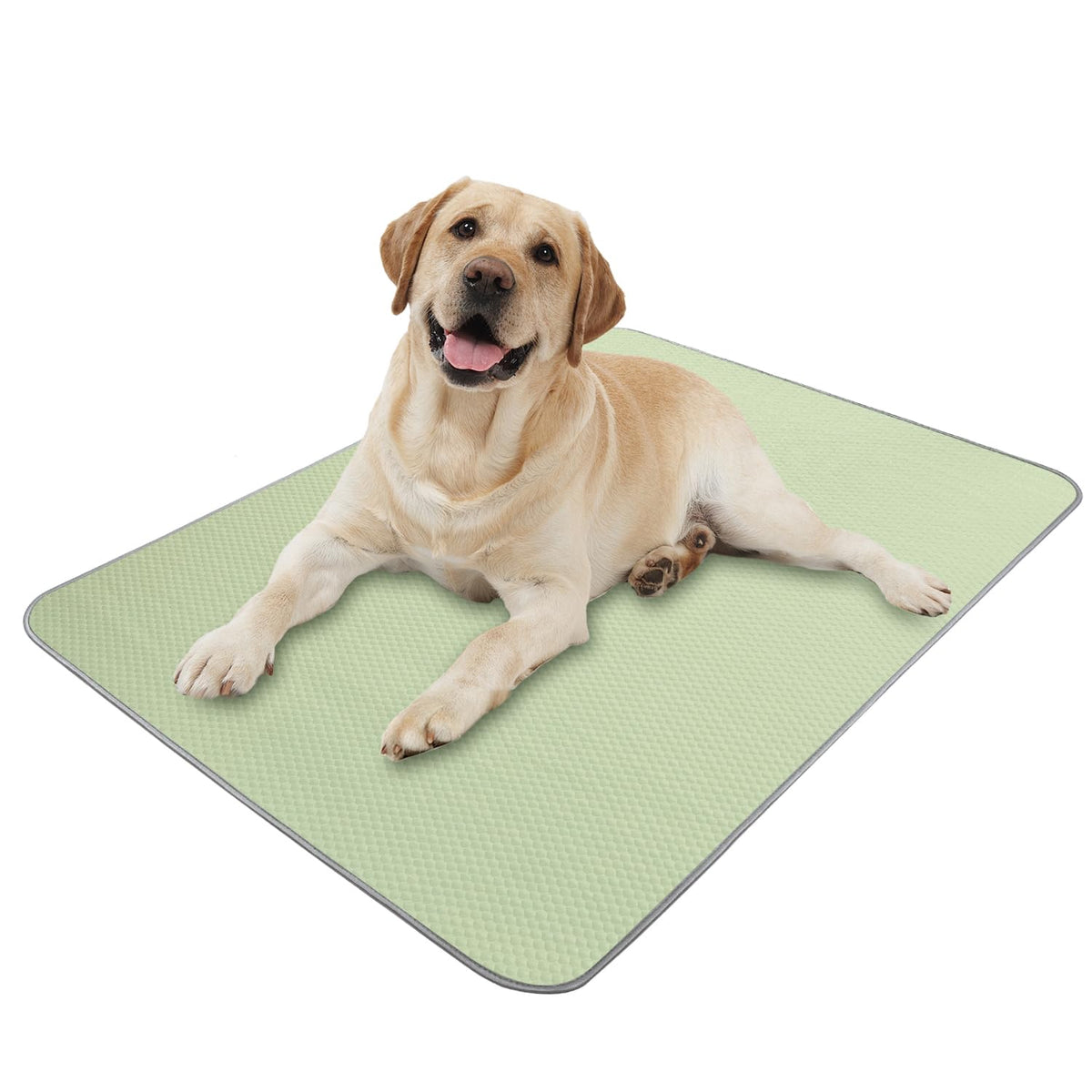 Buvlnee Summer Dog Cooling Mat, Washable Ice Silk Self Cool Pad for Small Medium Large Dogs and Cats, 24x18in Pet Sleeping Pad for Crate, Bed, Indoor & Outdoor Floor, Car Seats