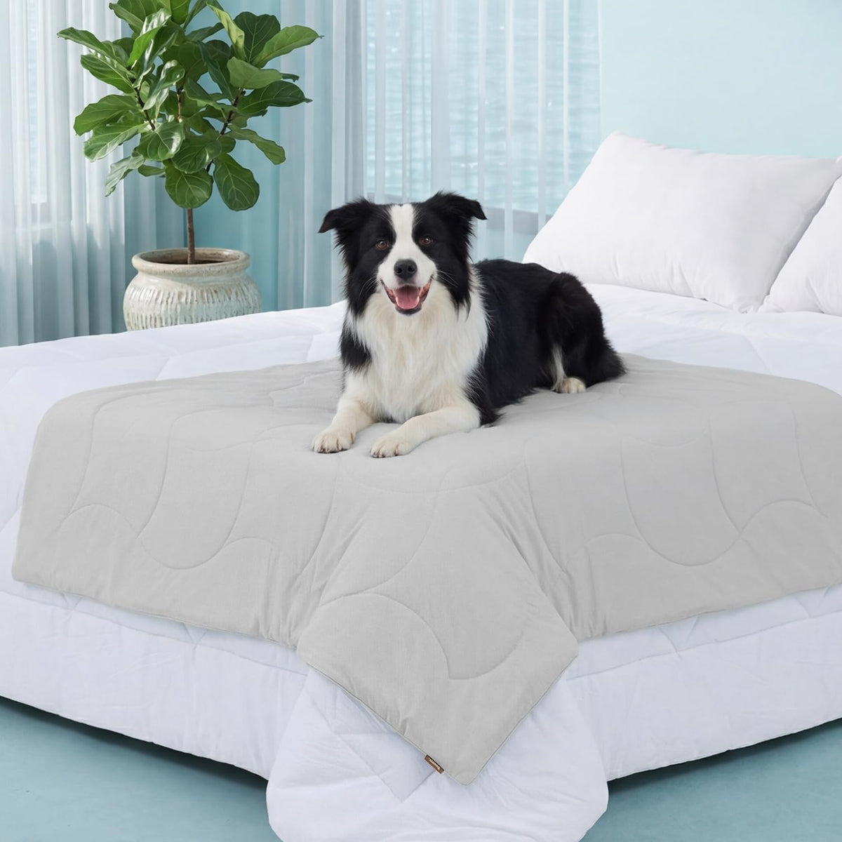 ZOMISIA Premium Cooling Blanket for Large Dogs - Q-MAX>0.5 Breathable Washable Dog Cooling Mat, Travel Soft Pet Summer Essentials, Grey, 40"x50"