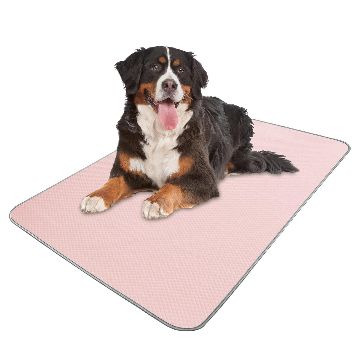 Buvlnee Summer Dog Cooling Mat, Washable Ice Silk Self Cool Pad for Small Medium Large Dogs and Cats, 24x18in Pet Sleeping Pad for Crate, Bed, Indoor & Outdoor Floor, Car Seats