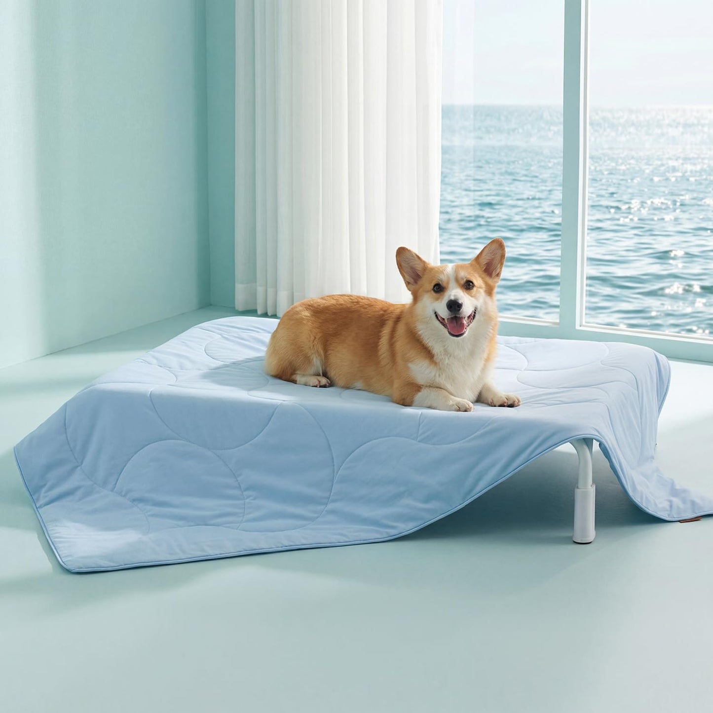 ZOMISIA Premium Cooling Blanket for Large Dogs - Q-MAX>0.5 Breathable Washable Dog Cooling Mat, Travel Soft Pet Summer Essentials, Grey, 40"x50"