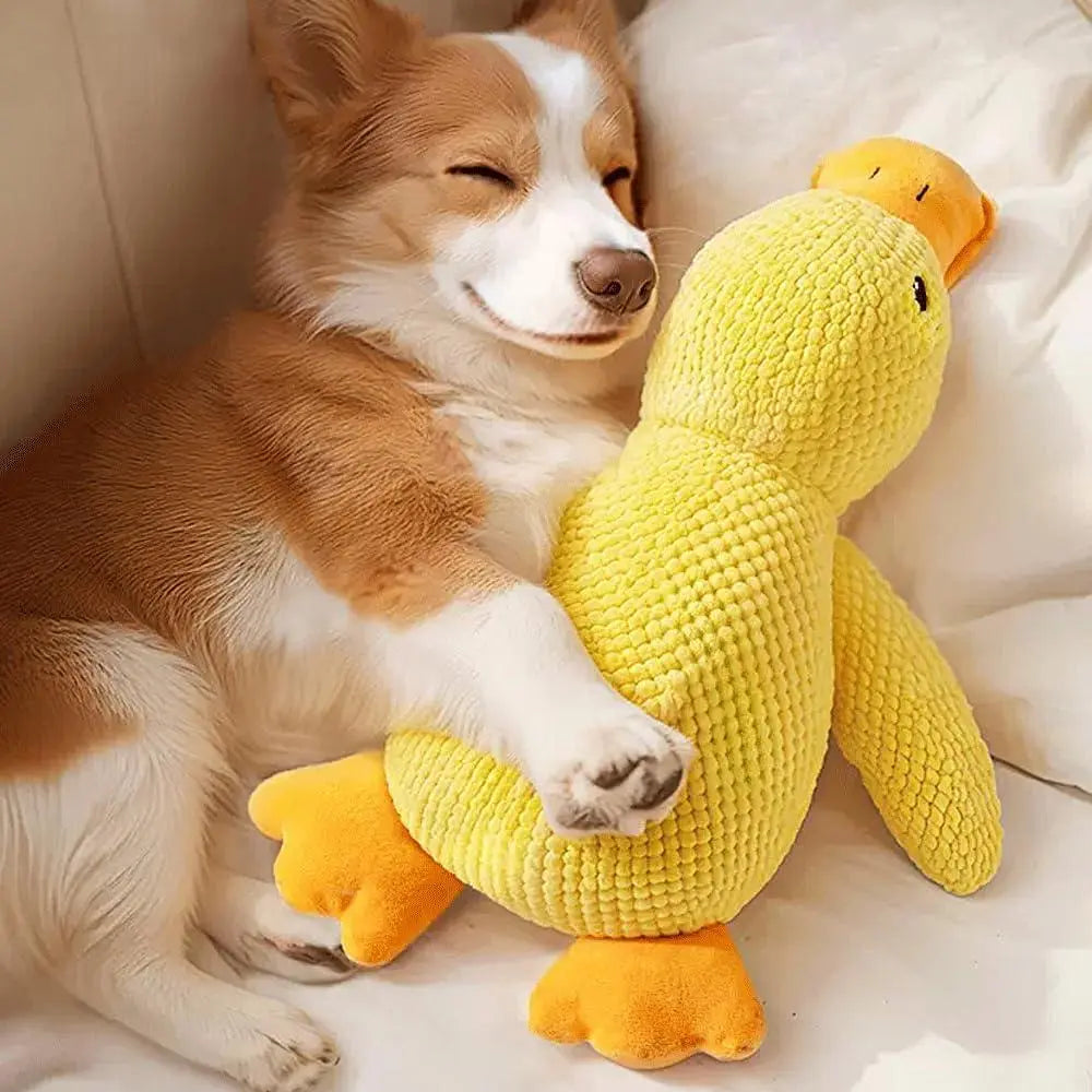 Yellow duck-Durable Plush Squeaky Dog Toy for All Breeds – Fun Chew Toy for Indoor Play- 35CM-MRWJ pet Interactive
