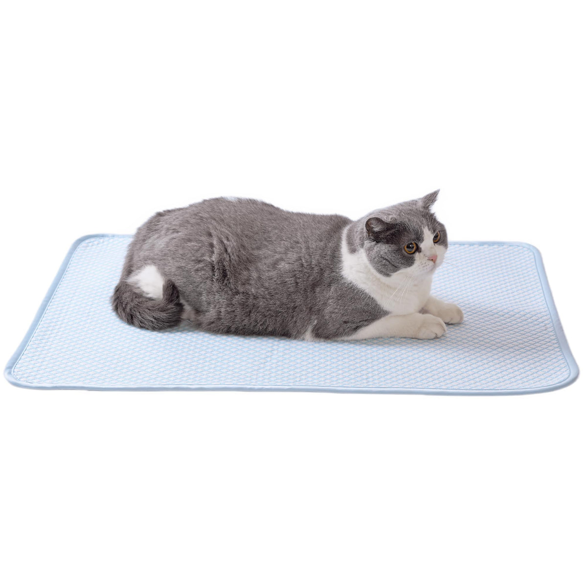 petfelix FrostEase Dog Cooling Mat, Cooling Dog Bed and Cooling Pad for Dog and Cat with Qmax 0.4 Yarn, Breathable 3D Airflow Layers, Machine Washable Non Slip Base for Pets, Blue, S, 20''*16''