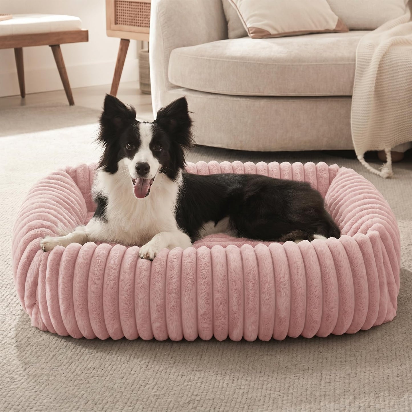 FURTIME Dog Bed for Small Dogs, Washable Orthopedic Dog Bed with Removable Cover, Rectangle Soft Calming Sleeping Puppy Bed Durable Pet Cuddler with Anti-Slip Bottom, Cream, S (20"x19"x6")