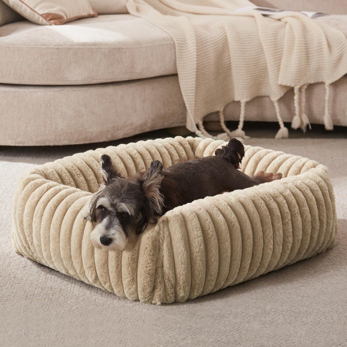 FURTIME Dog Bed for Small Dogs, Washable Orthopedic Dog Bed with Removable Cover, Rectangle Soft Calming Sleeping Puppy Bed Durable Pet Cuddler with Anti-Slip Bottom, Cream, S (20"x19"x6")