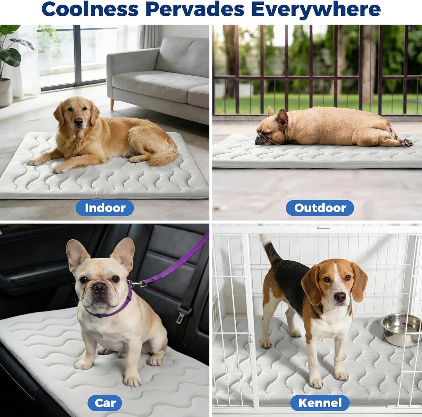 2026 Q-MAX＞0.5 Double-Sided Arc-Chill Dog Cooling Mat 36"×23" | Upgraded Ice Cool Fiber, Washable Thicken Waterproof, Self-Cooling Crate Pad for Dog&Cat, All-Season Use