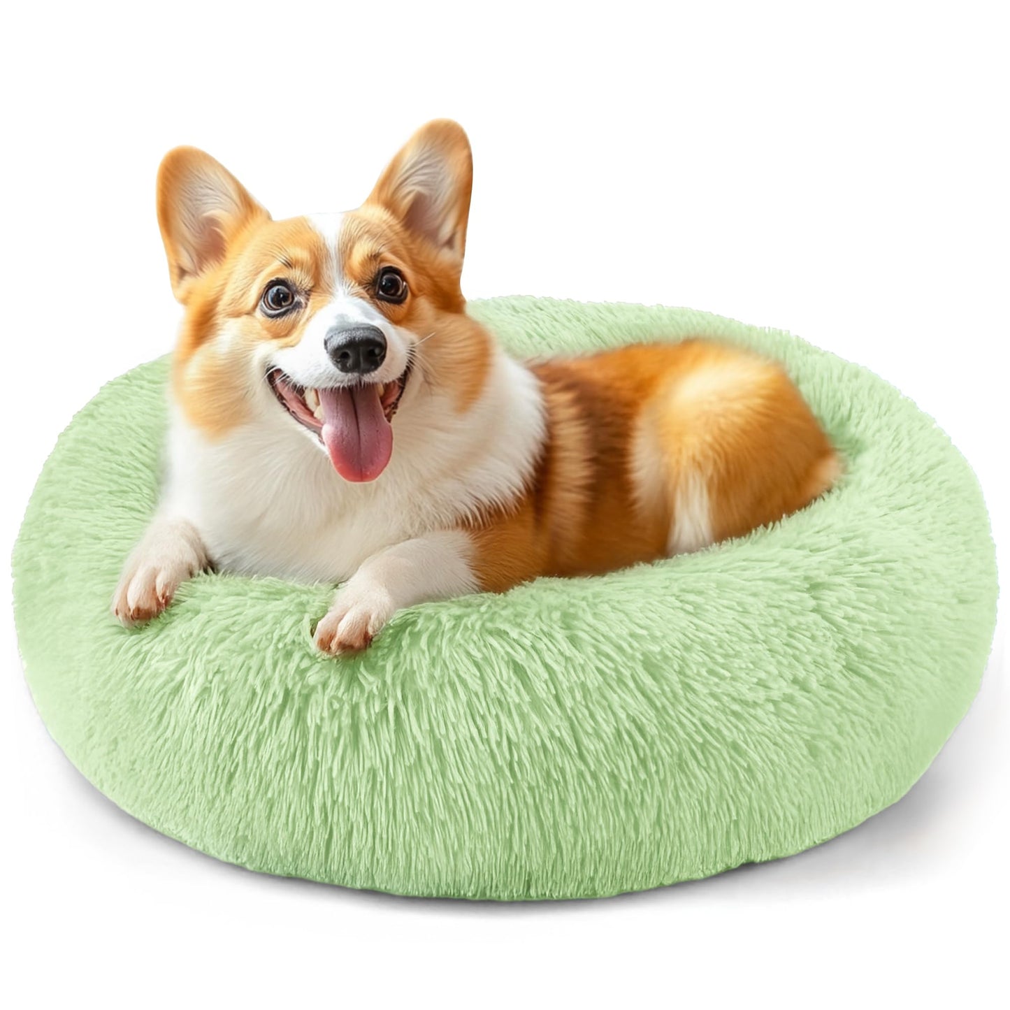 Hoewina Dog & Cat Bed for Indoor Cats, 20in Calming Donut Bed for Puppy and Kitten, Washable Round Fluffy Pet Bed for Small Medium Dogs and Cats (Light Grey)