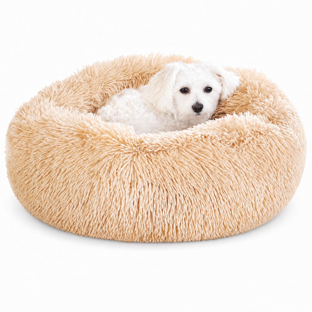 Whiskers & Friends Cat Beds for Indoor Cats, Fluffy Calming Donut Cat Bed, Small Dog Bed Washable - Orthopedic Soft Plush Pet Beds Sized for Kitten to Large Cats & Puppy to Small Dogs - Navy Grey 20''