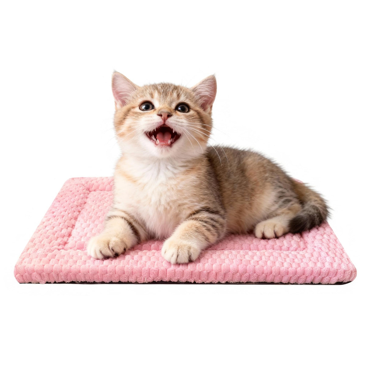 Dog Bed Mat – Soft & Comfortable Dog Kennel Pad for Crate – Durable Crate Bed & Mat for Dogs & Cats – Ideal for Crate, Kennel, and Home Use