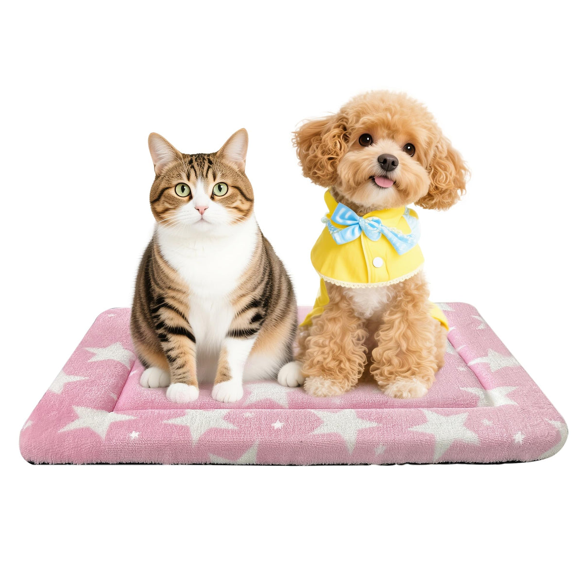 Dog Bed Mat – Soft & Comfortable Dog Kennel Pad for Crate – Durable Crate Bed & Mat for Dogs & Cats – Ideal for Crate, Kennel, and Home Use
