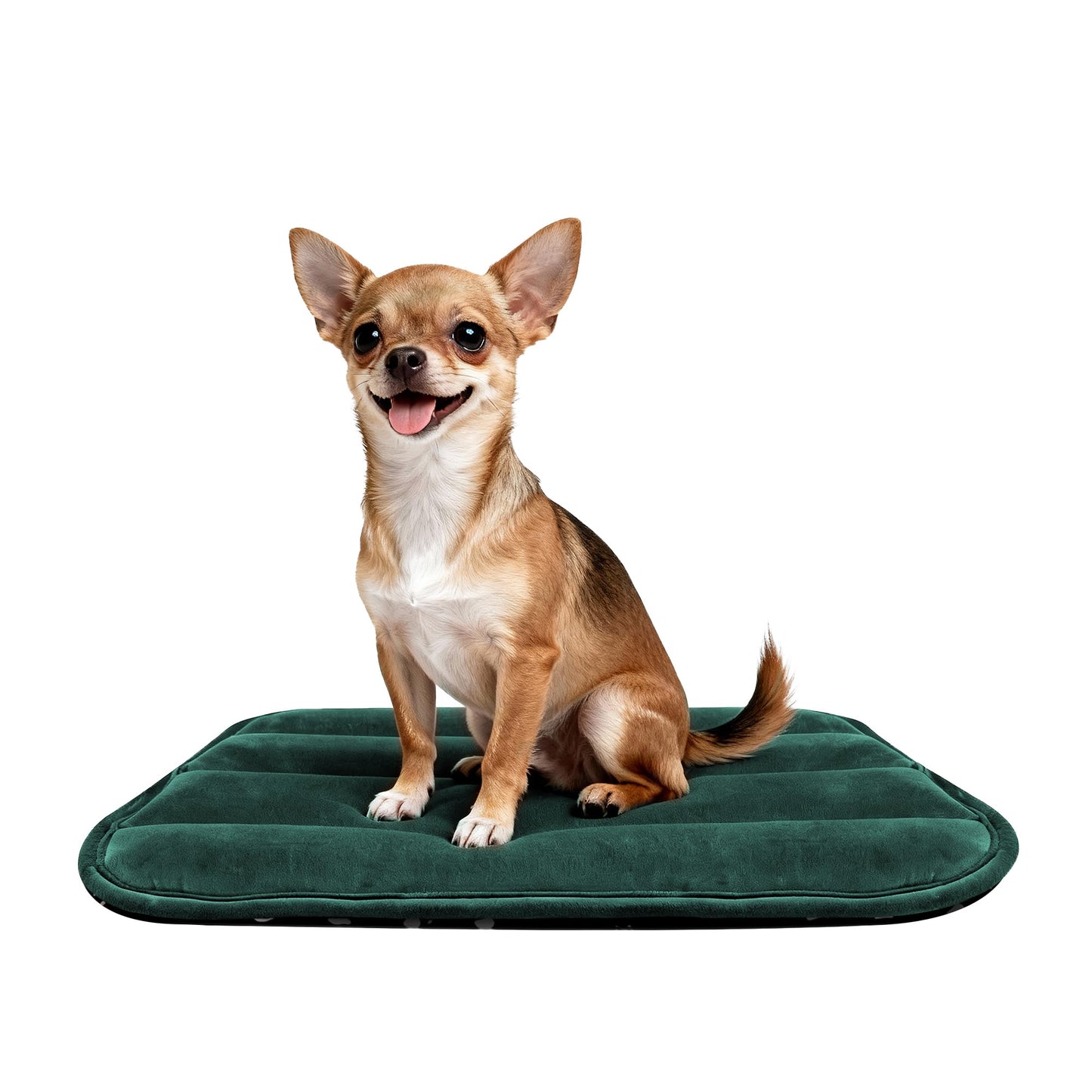 Dog Bed Mat – Soft & Comfortable Dog Kennel Pad for Crate – Durable Crate Bed & Mat for Dogs & Cats – Ideal for Crate, Kennel, and Home Use