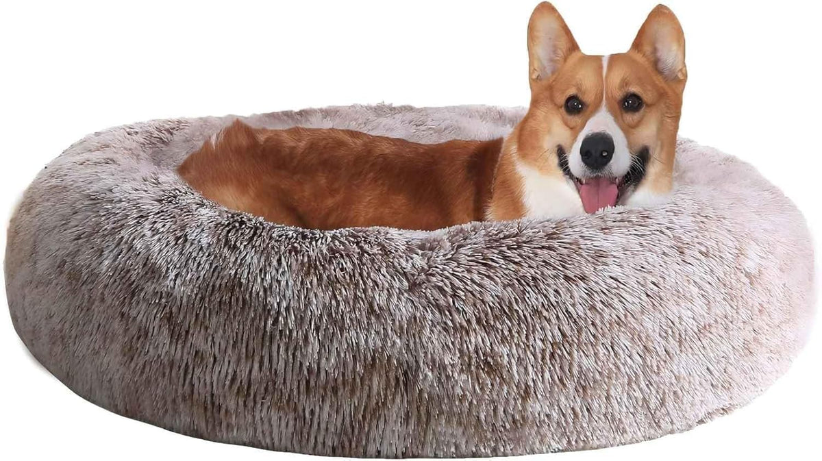 JOLLYVOGUE Small Dog Bed, Calming Soft Anti-Anxiety Donut Cat Bed, Washable Round Fluffy Cushion for Small and Medium Pets (20")