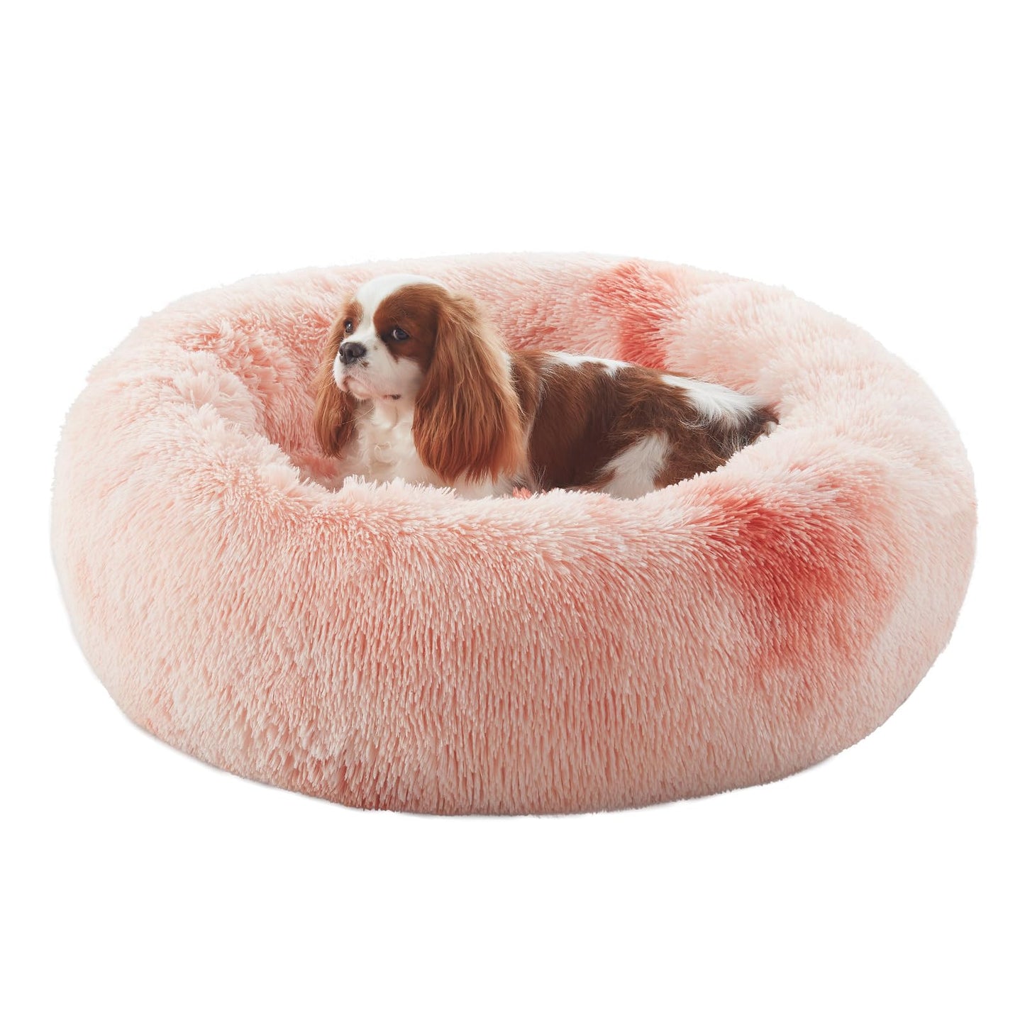 36 inches Donut Dog Bed for Large Dogs - Calming Fluffy Round Pet Bed with Removable & Washable Cover,Fits up to 80 lbs Pets (Dark Grey,Large)