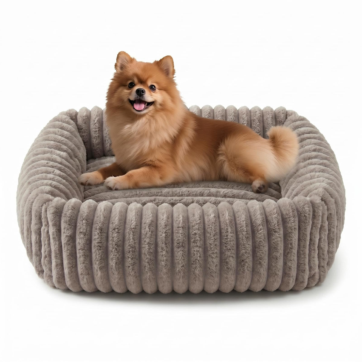 FURTIME Dog Bed for Small Dogs, Washable Orthopedic Dog Bed with Removable Cover, Rectangle Soft Calming Sleeping Puppy Bed Durable Pet Cuddler with Anti-Slip Bottom, Cream, S (20"x19"x6")