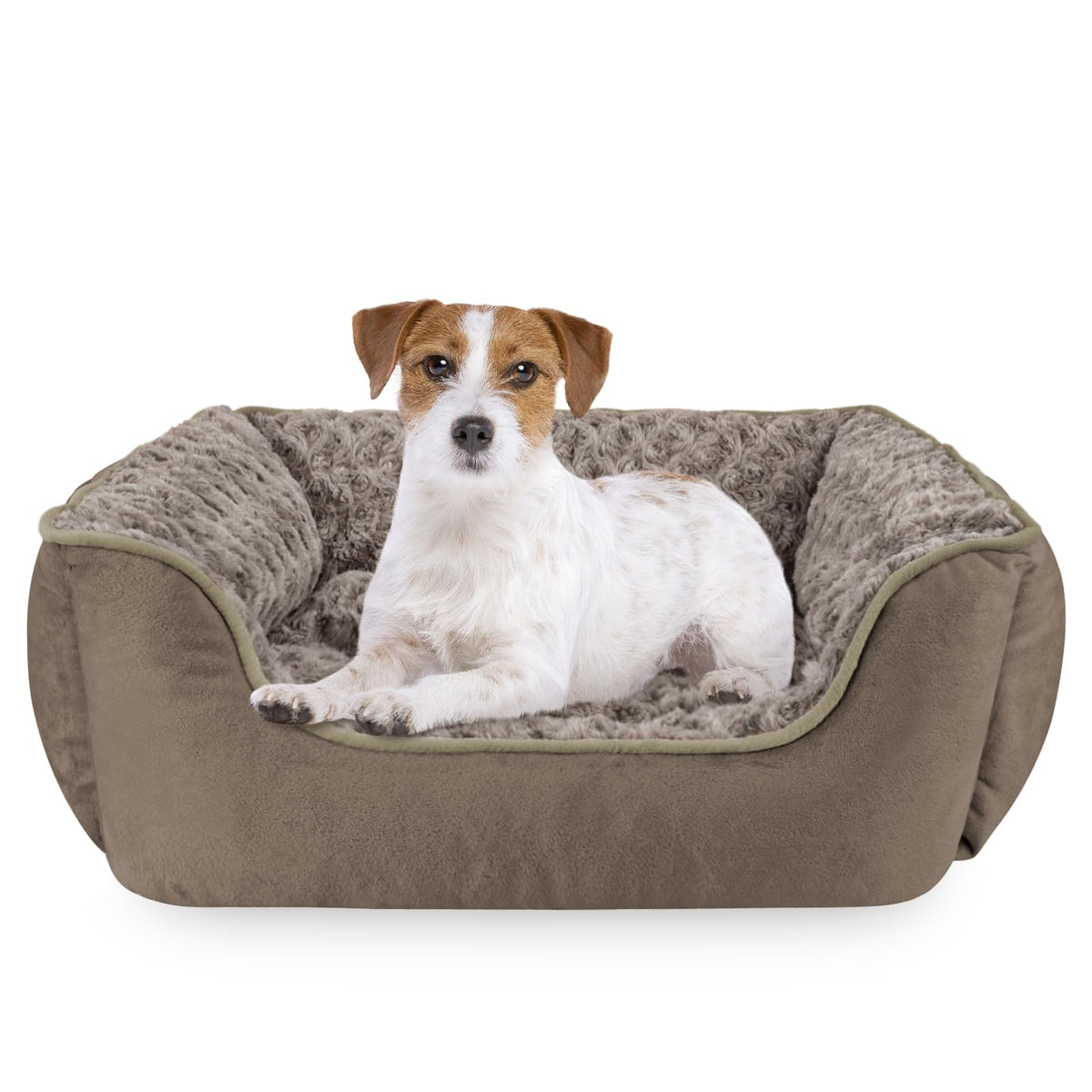 JOEJOY Rectangle Dog Bed for Large Medium Small Dogs - Washable Orthopedic Sofa Bed, Soft Breathable Puppy & Pet Cuddler, Durable Calming Dog Bed with Anti-Slip Bottom, Multiple Sizes, Beige