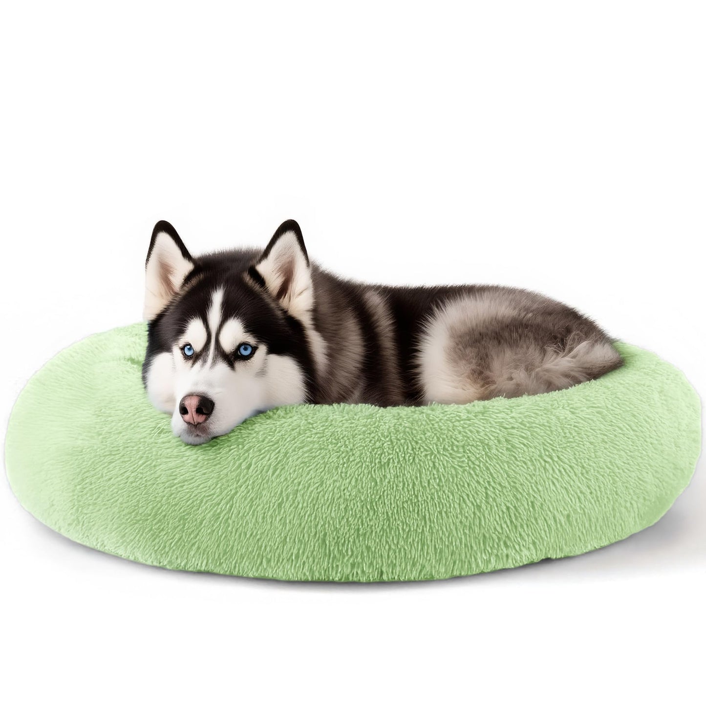 Hoewina Dog & Cat Bed for Indoor Cats, 20in Calming Donut Bed for Puppy and Kitten, Washable Round Fluffy Pet Bed for Small Medium Dogs and Cats (Light Grey)