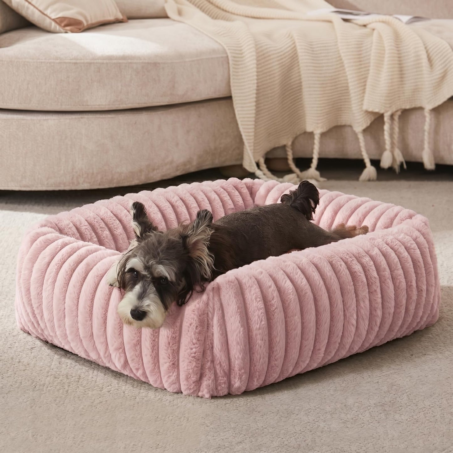 FURTIME Dog Bed for Small Dogs, Washable Orthopedic Dog Bed with Removable Cover, Rectangle Soft Calming Sleeping Puppy Bed Durable Pet Cuddler with Anti-Slip Bottom, Cream, S (20"x19"x6")