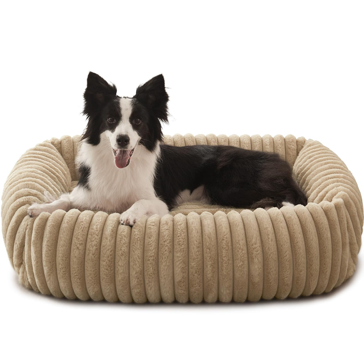 FURTIME Dog Bed for Small Dogs, Washable Orthopedic Dog Bed with Removable Cover, Rectangle Soft Calming Sleeping Puppy Bed Durable Pet Cuddler with Anti-Slip Bottom, Cream, S (20"x19"x6")