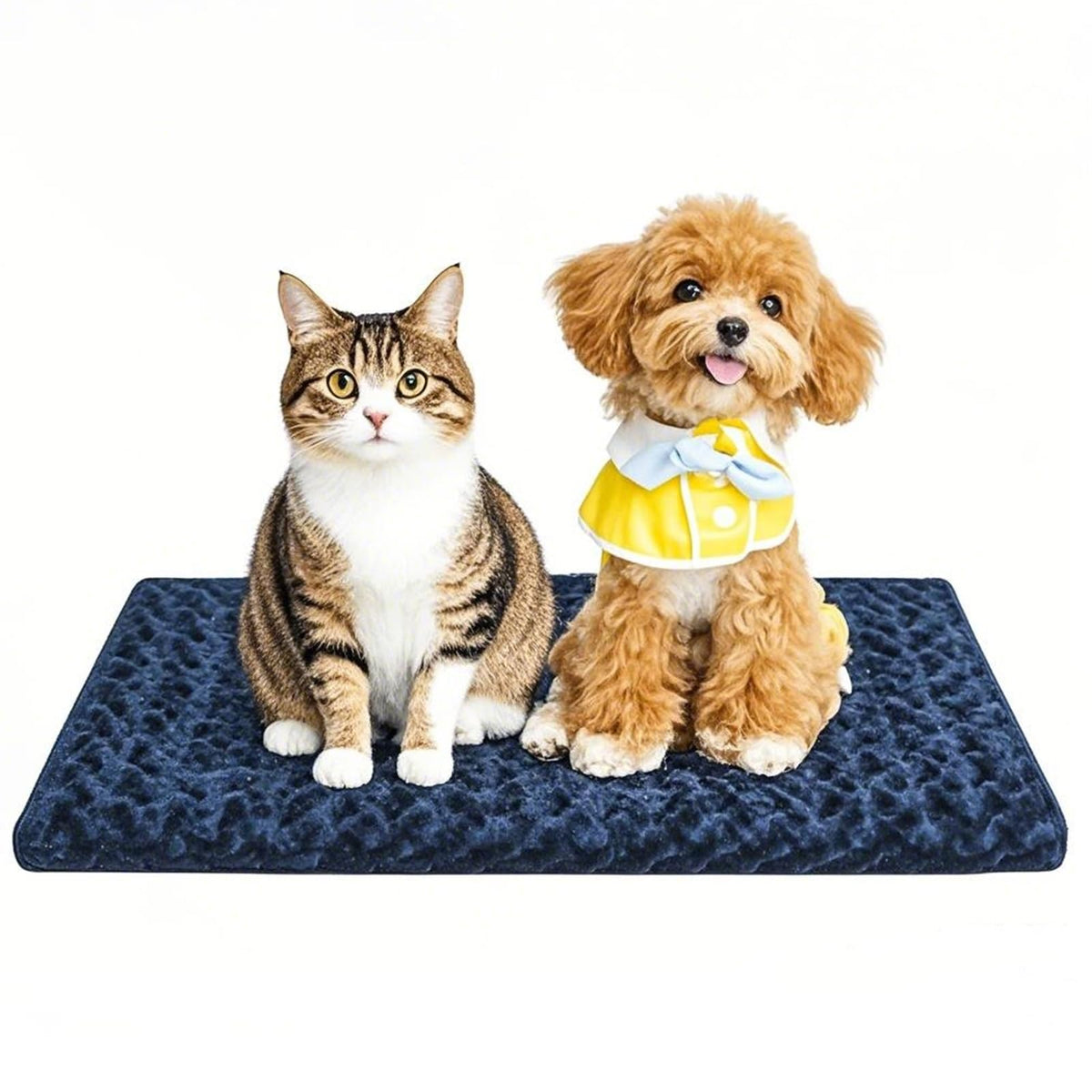 Dog Bed Mat – Soft & Comfortable Dog Kennel Pad for Crate – Durable Crate Bed & Mat for Dogs & Cats – Ideal for Crate, Kennel, and Home Use