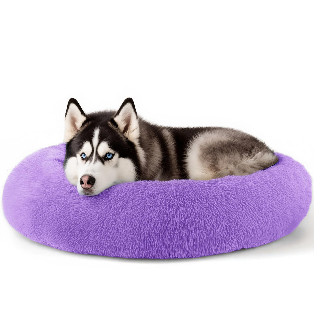 Hoewina Dog & Cat Bed for Indoor Cats, 20in Calming Donut Bed for Puppy and Kitten, Washable Round Fluffy Pet Bed for Small Medium Dogs and Cats (Light Grey)
