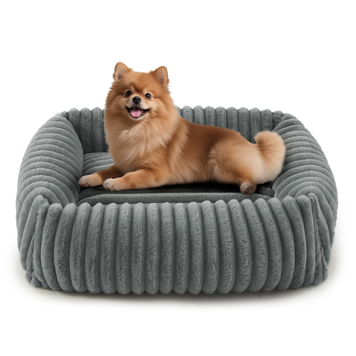 FURTIME Dog Bed for Small Dogs, Washable Orthopedic Dog Bed with Removable Cover, Rectangle Soft Calming Sleeping Puppy Bed Durable Pet Cuddler with Anti-Slip Bottom, Cream, S (20"x19"x6")