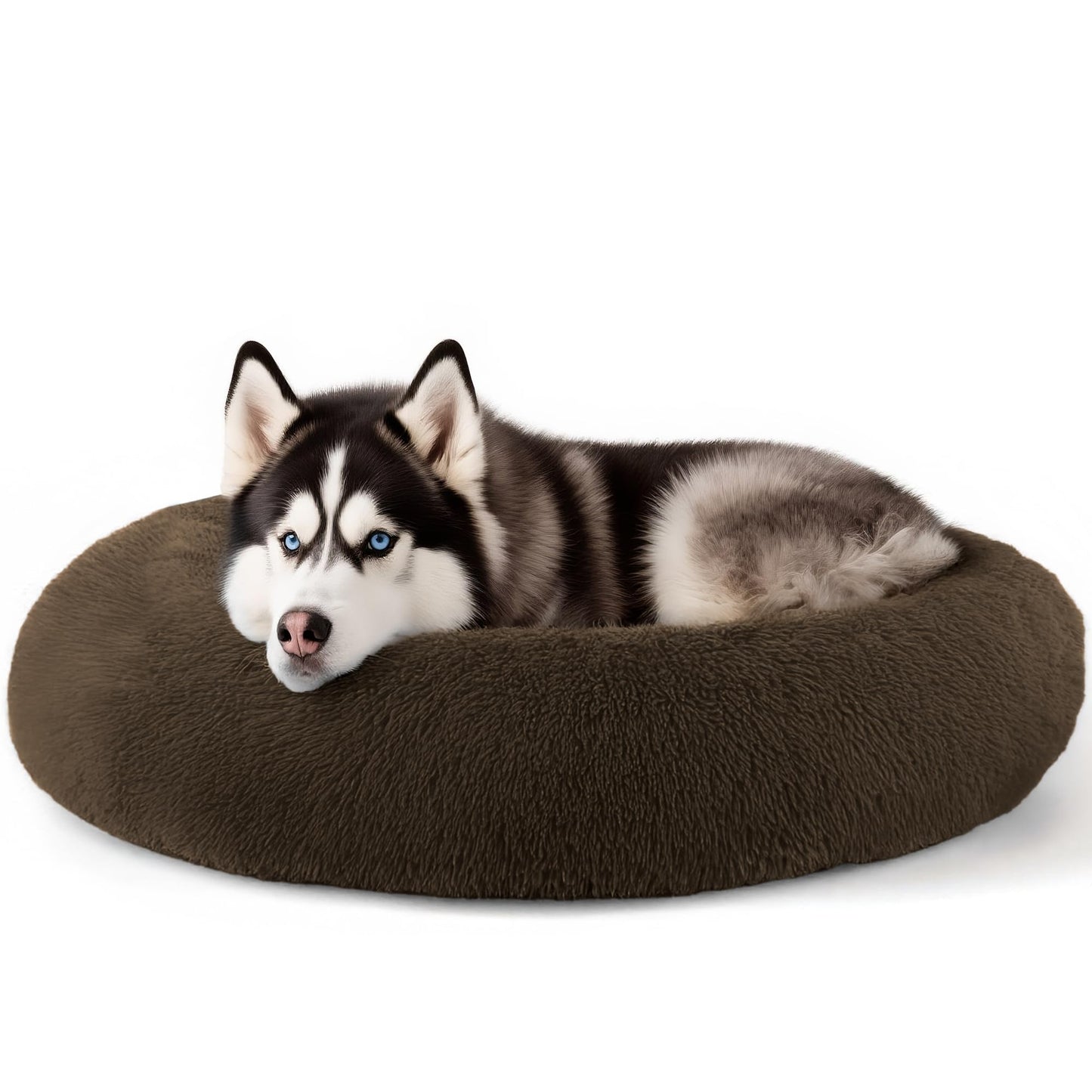 Hoewina Dog & Cat Bed for Indoor Cats, 20in Calming Donut Bed for Puppy and Kitten, Washable Round Fluffy Pet Bed for Small Medium Dogs and Cats (Light Grey)