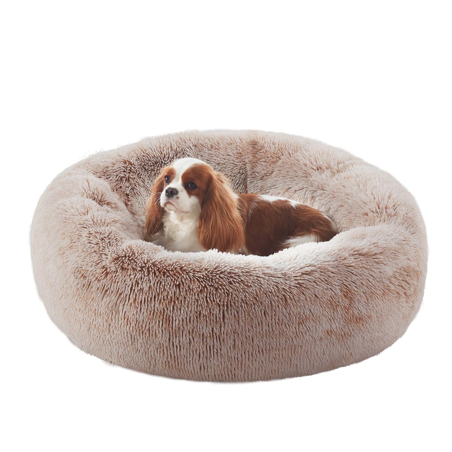 36 inches Donut Dog Bed for Large Dogs - Calming Fluffy Round Pet Bed with Removable & Washable Cover,Fits up to 80 lbs Pets (Dark Grey,Large)