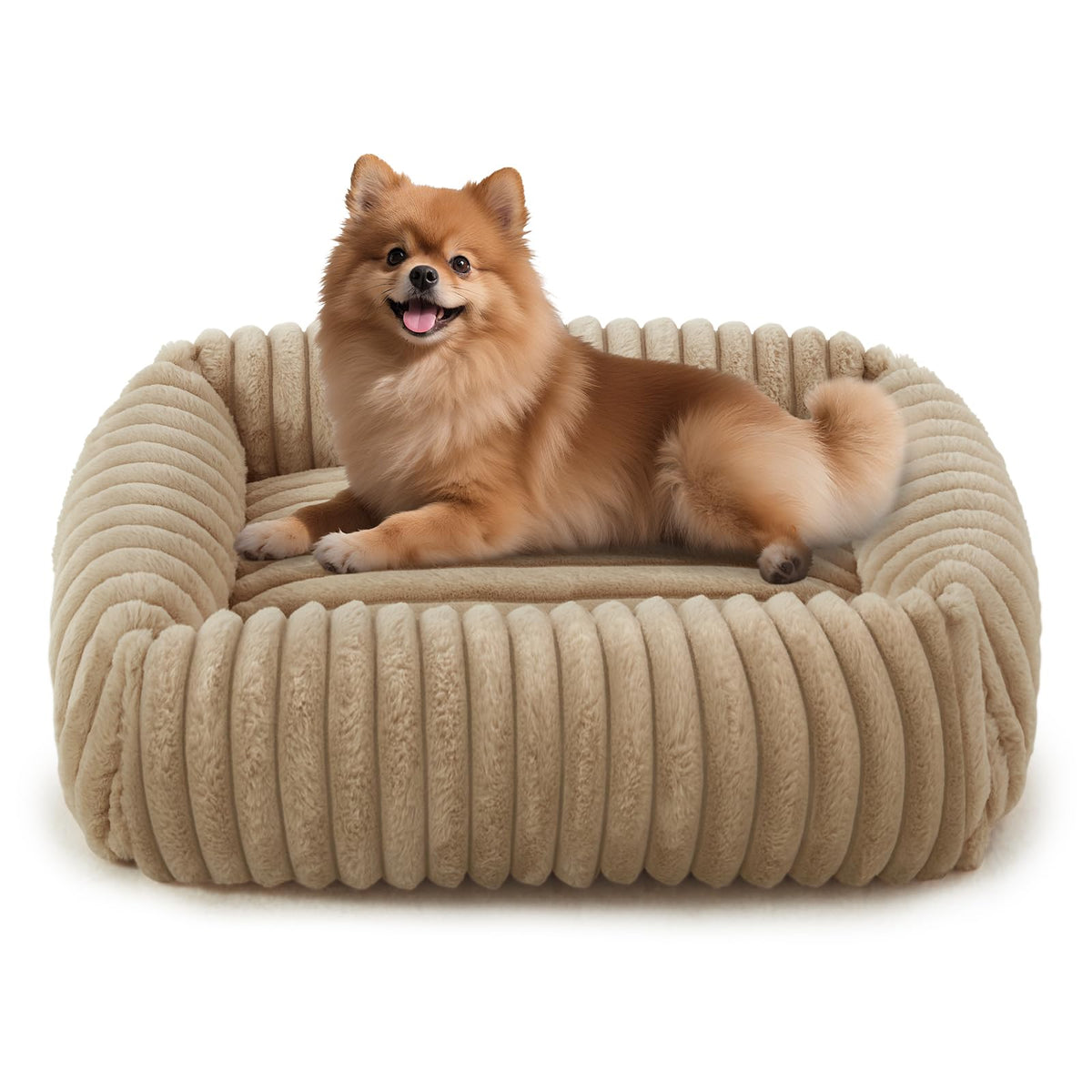 FURTIME Dog Bed for Small Dogs, Washable Orthopedic Dog Bed with Removable Cover, Rectangle Soft Calming Sleeping Puppy Bed Durable Pet Cuddler with Anti-Slip Bottom, Cream, S (20"x19"x6")