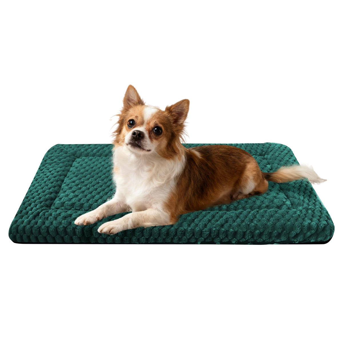 Dog Bed Mat – Soft & Comfortable Dog Kennel Pad for Crate – Durable Crate Bed & Mat for Dogs & Cats – Ideal for Crate, Kennel, and Home Use