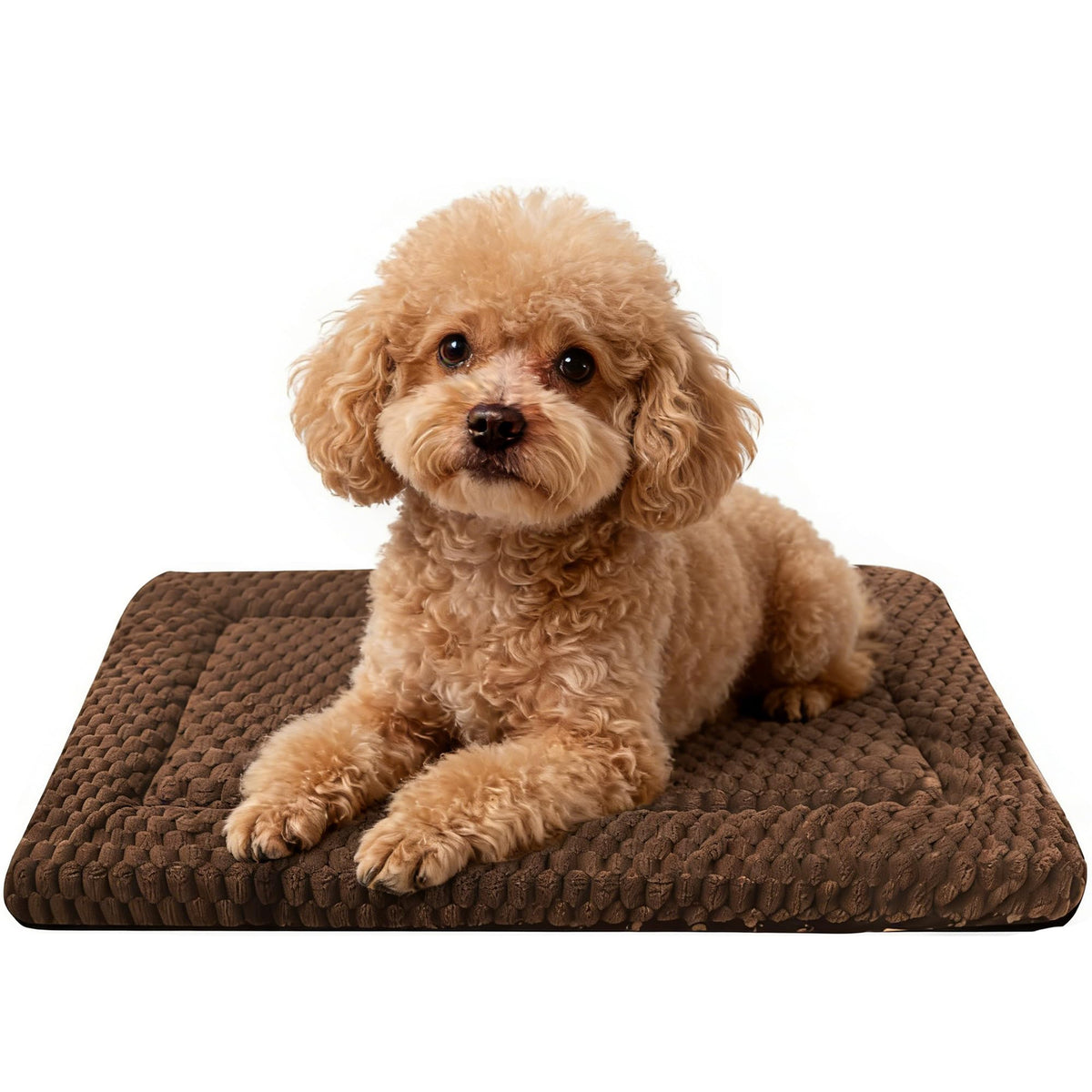 Dog Bed Mat – Soft & Comfortable Dog Kennel Pad for Crate – Durable Crate Bed & Mat for Dogs & Cats – Ideal for Crate, Kennel, and Home Use