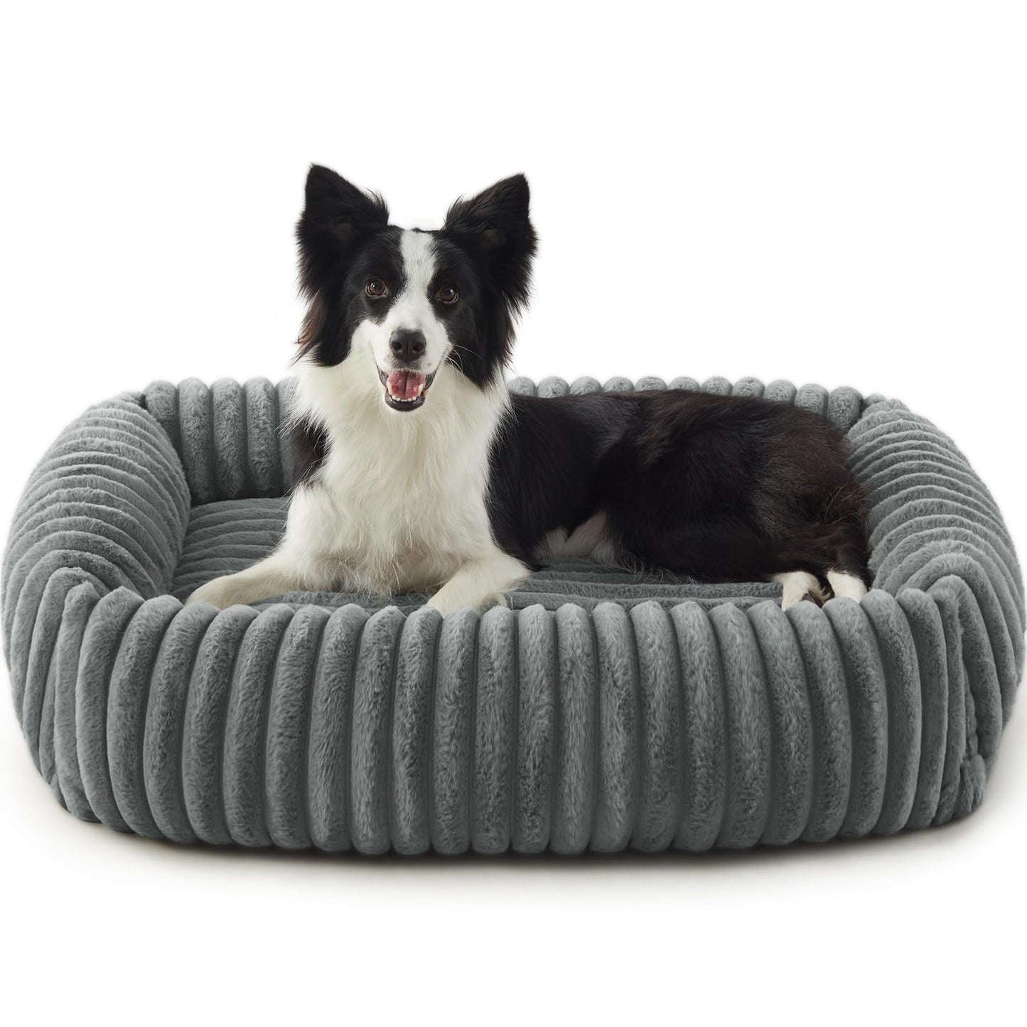 FURTIME Dog Bed for Small Dogs, Washable Orthopedic Dog Bed with Removable Cover, Rectangle Soft Calming Sleeping Puppy Bed Durable Pet Cuddler with Anti-Slip Bottom, Cream, S (20"x19"x6")
