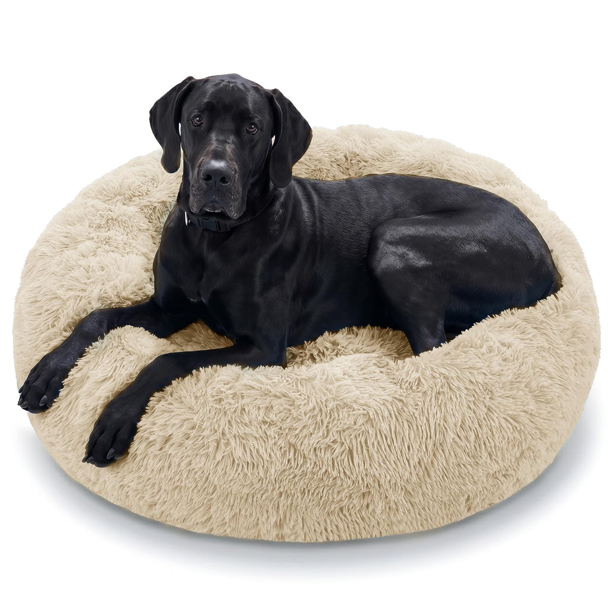 JOLLYVOGUE Small Dog Bed, Calming Soft Anti-Anxiety Donut Cat Bed, Washable Round Fluffy Cushion for Small and Medium Pets (20")