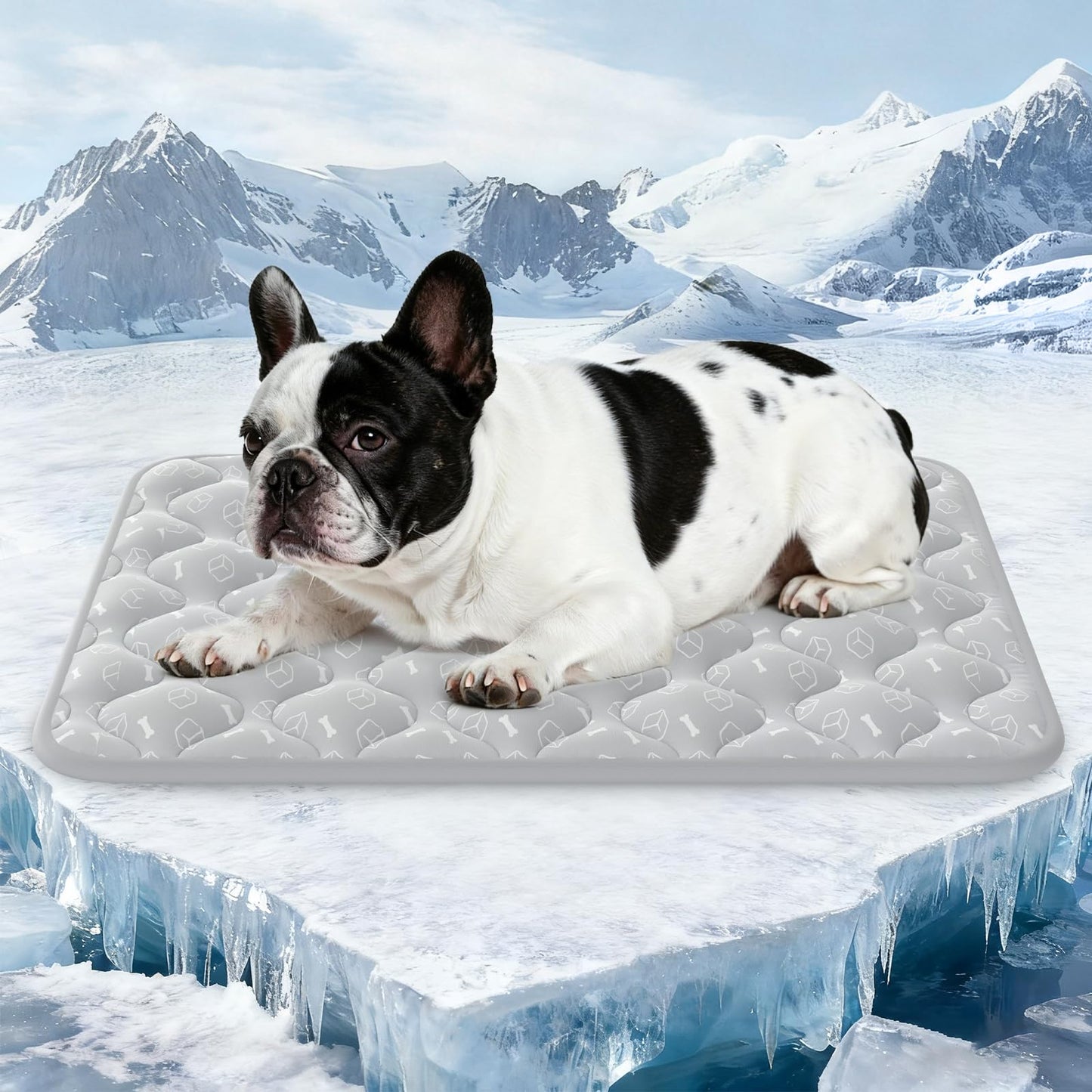 Rywell Dog Cooling Mat 2.0, Ocean Blue,44" x 32" Thick & Durable Cooling Mat for Extra Large Dogs, Long-Lasting Cool with Waterproof & Color-Changing Arc-Chill Tech (Q-Max>0.5) Washable& Non-Toxic
