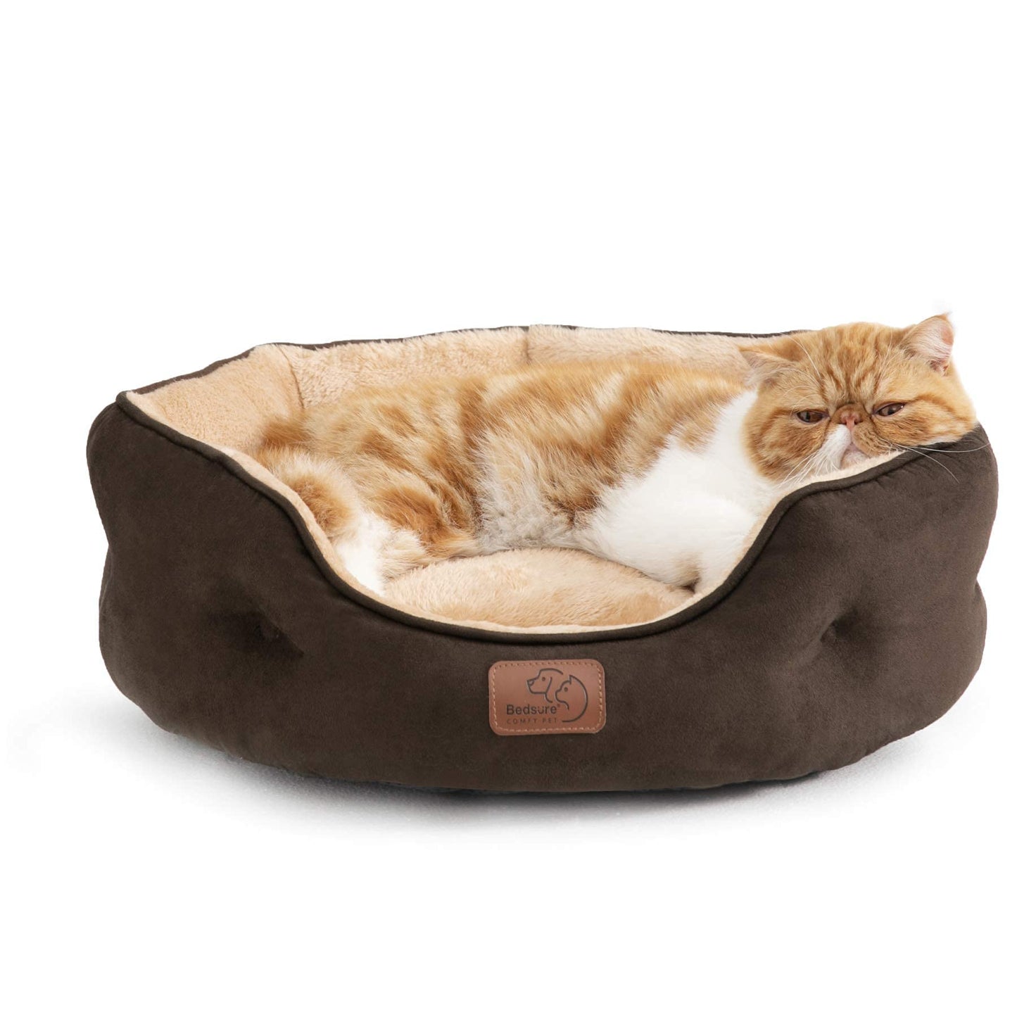 Bedsure Small Dog Bed Washable,Round Cat Beds for Indoor Cats,20in Ivory | Soft plush pet bed,dog beds for small dogs for puppy and kittens,Anti-Slip bottom,easy to clean