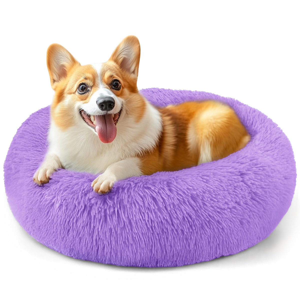 Hoewina Dog & Cat Bed for Indoor Cats, 20in Calming Donut Bed for Puppy and Kitten, Washable Round Fluffy Pet Bed for Small Medium Dogs and Cats (Light Grey)
