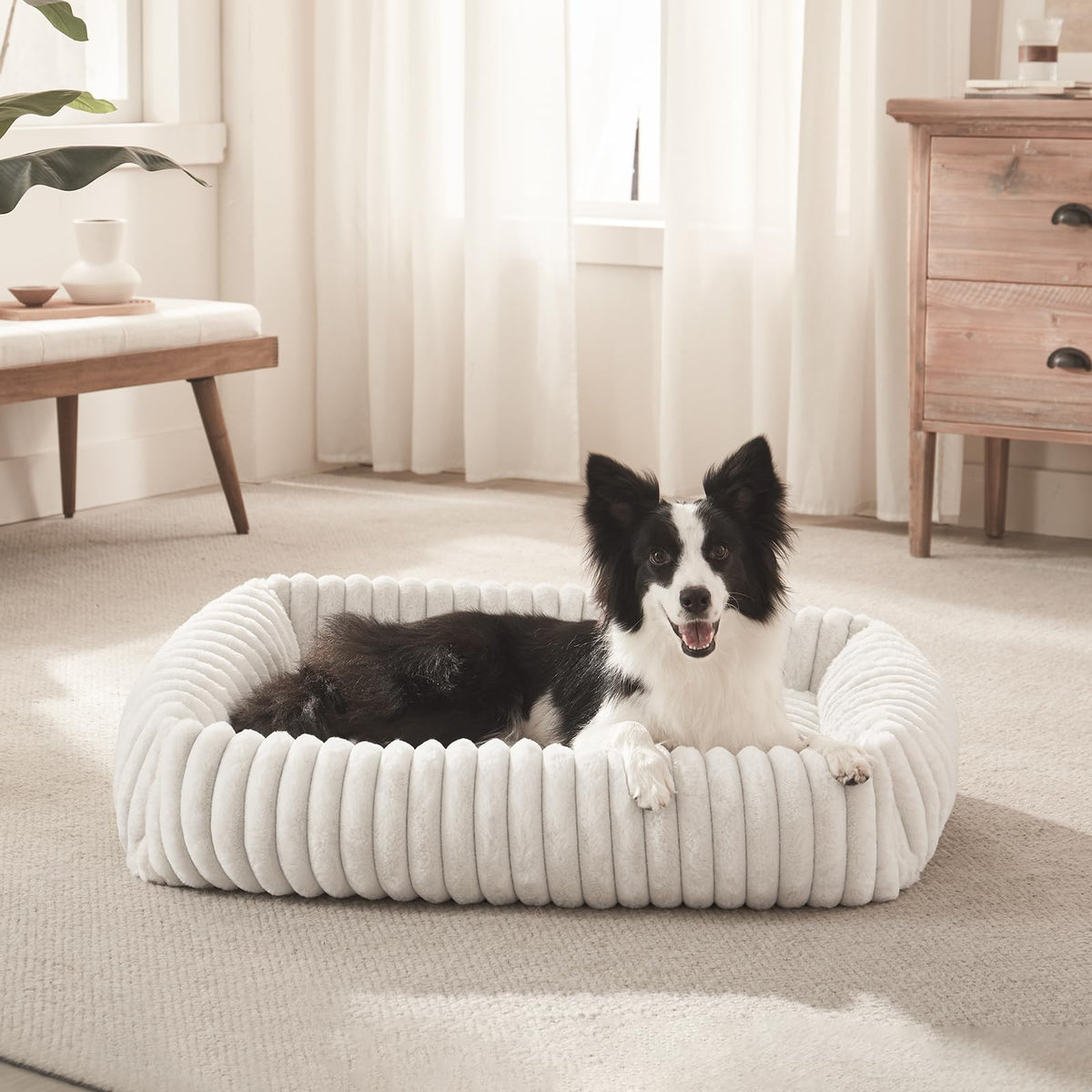 FURTIME Dog Bed for Small Dogs, Washable Orthopedic Dog Bed with Removable Cover, Rectangle Soft Calming Sleeping Puppy Bed Durable Pet Cuddler with Anti-Slip Bottom, Cream, S (20"x19"x6")