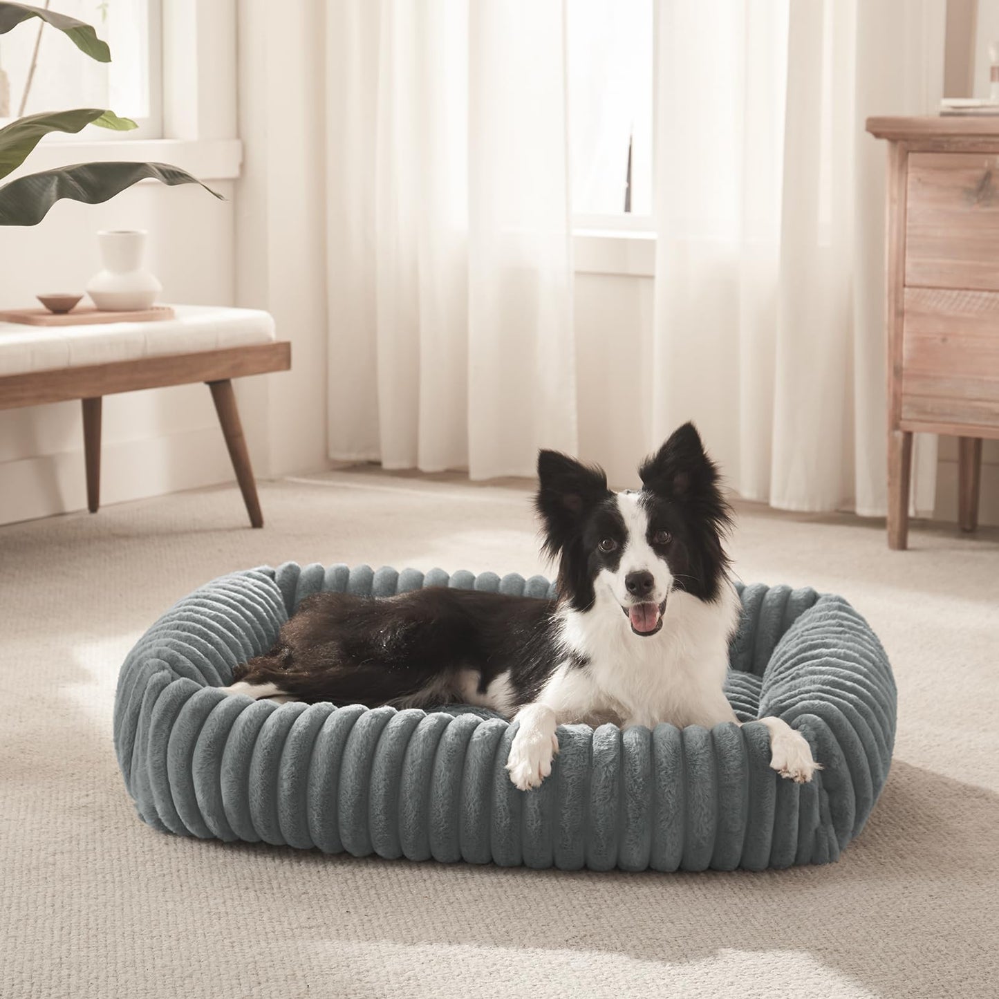 FURTIME Dog Bed for Small Dogs, Washable Orthopedic Dog Bed with Removable Cover, Rectangle Soft Calming Sleeping Puppy Bed Durable Pet Cuddler with Anti-Slip Bottom, Cream, S (20"x19"x6")
