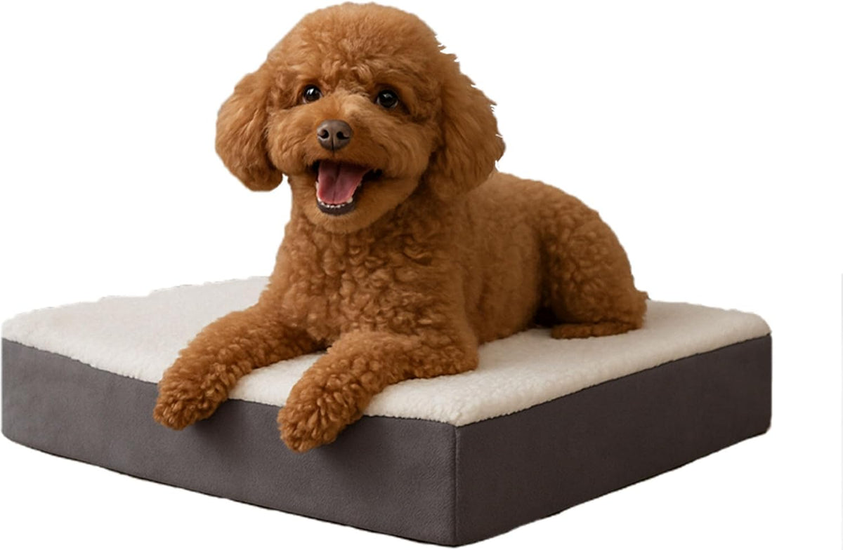 Orthopedic Dog Bed - 2-Layer Memory Foam Crate Mat with Machine Washable Sherpa Cover - 20x15 Pet Bed for Small Dogs Up to 20lbs by PETMAKER (Gray)