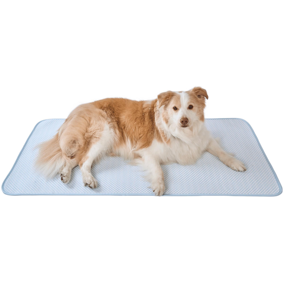 petfelix FrostEase Dog Cooling Mat, Cooling Dog Bed and Cooling Pad for Dog and Cat with Qmax 0.4 Yarn, Breathable 3D Airflow Layers, Machine Washable Non Slip Base for Pets, Blue, S, 20''*16''